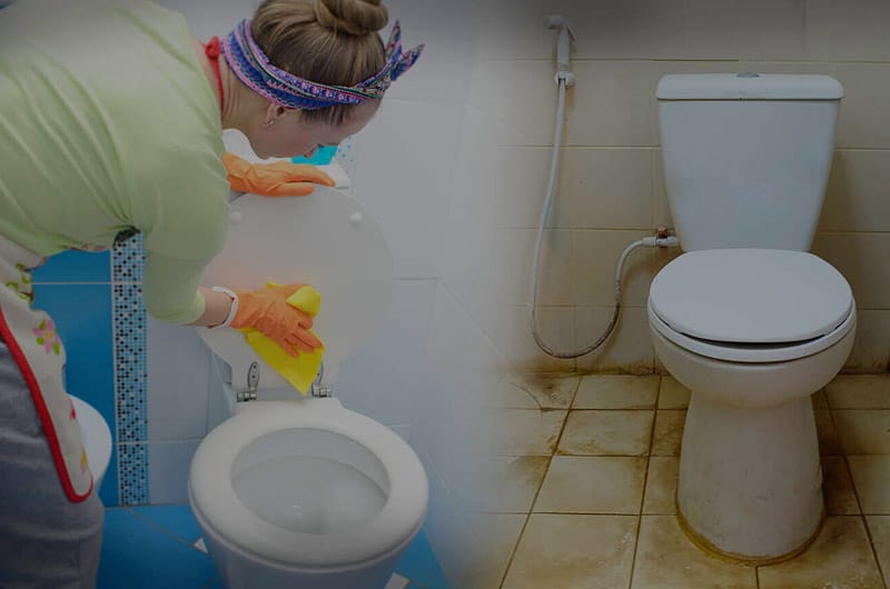 Urine and Feces Cleanup Service New Jersey